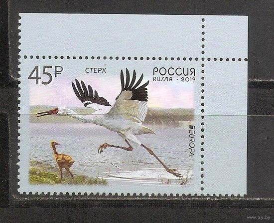 ФФ1 Россия 2019 Аист