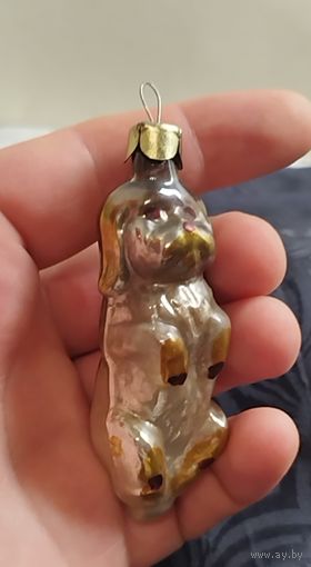 Цирковая собачка