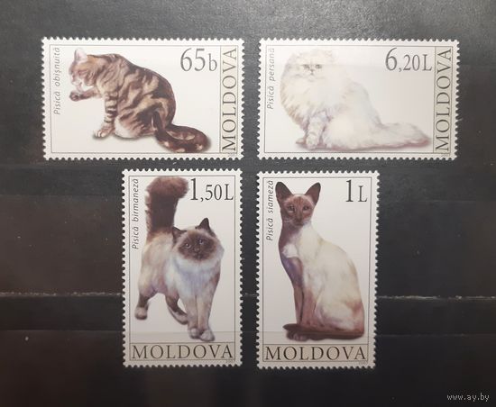Молдова. 2007 год. Фауна. Кошки (771)