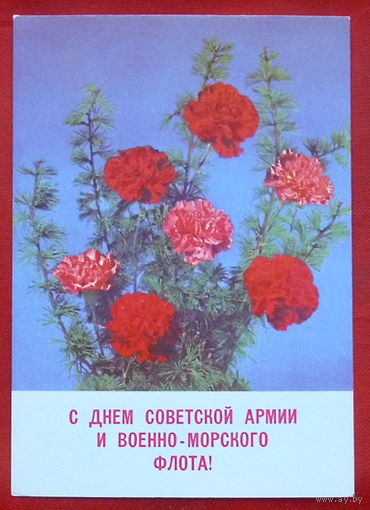 С днём советской армии и военно-морского флота! Чистая. 1989 года. Круцко. *198.