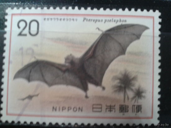 Япония,1974. Летучая лисица