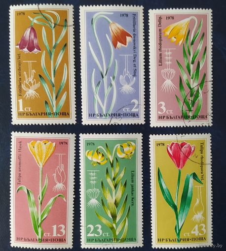 Болгария 1978 цветы  .