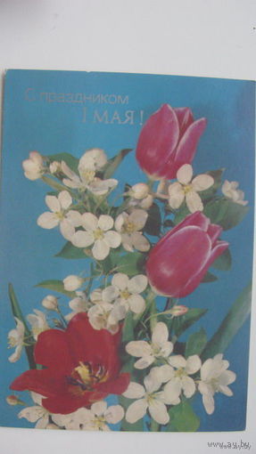 1 Мая 1989 г.