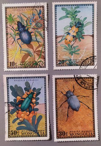 Жуки. Монголия, 1972