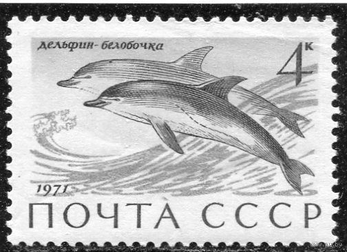 СССР 1971. Дельфин