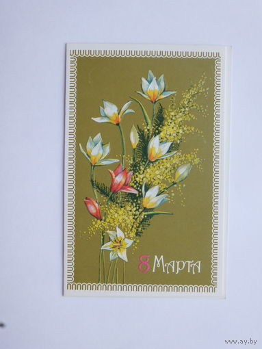 Канканян 8 марта 1991   9х14  см