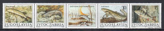 Рыбы Югославия 1990 год серия из 4-х марок в сцепке с купоном