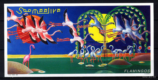 1998 Сомали. Фламинговые