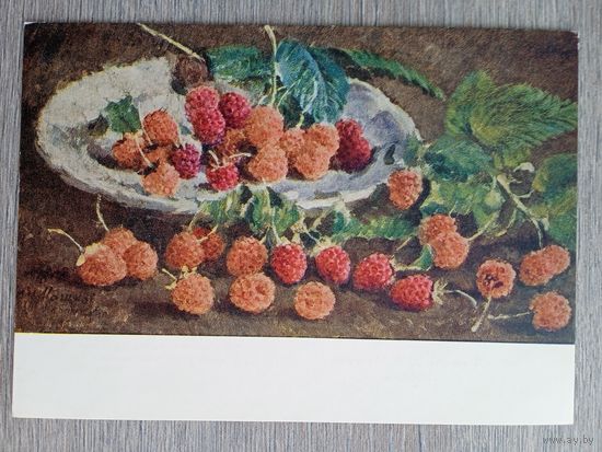 1955. Машков. Малина