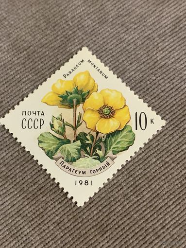 СССР 1981. Парагеум горный. Марка из серии