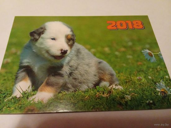 Календарик 2018г.  Щенок