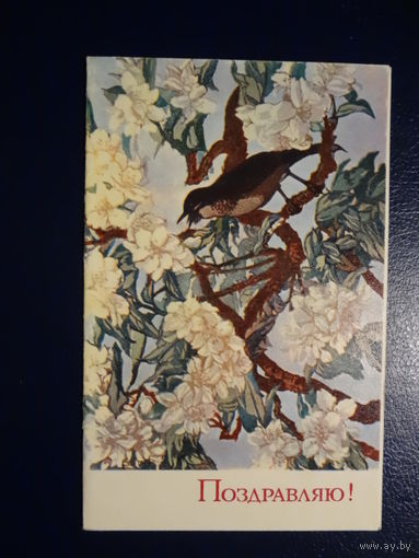 Поздравляю! Цветы, птичка. 1970 г. подписанная. двойная.