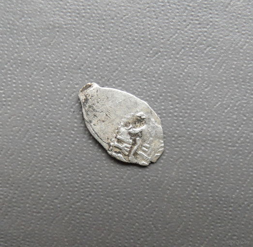 Чешуйка петра