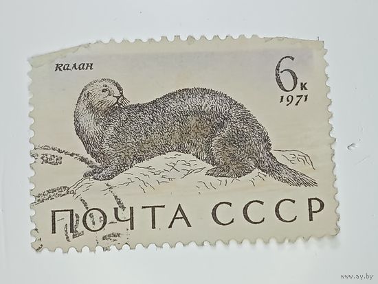 Распродажа коллекции с рубля ! Марки СССР  . Животные .