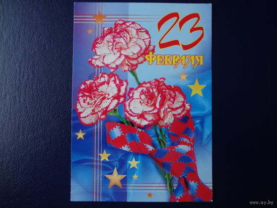 23 февраля. Гвоздики, галстук.