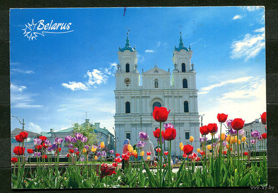 Гродно. Базилика Св. Франциска Ксаверия. 2011
