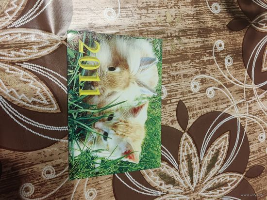 Календарик,кот,2011