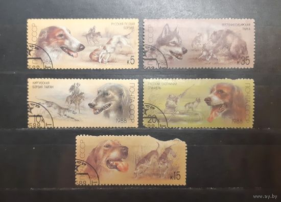СССР. 1988 год. Фауна. Собаки (791)