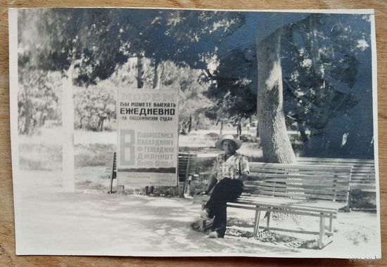 Фото из СССР. В сквере на курорте. Реклама пассажирских перевозок морем.  1960-70 г. (?) 7.5х11 см.