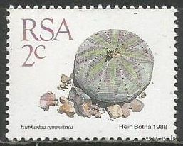 ЮАР. Молочай тучный. 1988г. Mi#744.