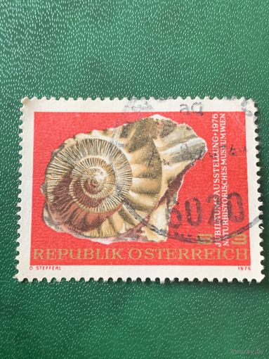 Австрия 1976. Окаменелости