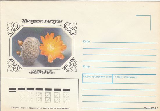 СССР 1983 НМХК Кактус Айлостера солнечная (к3)