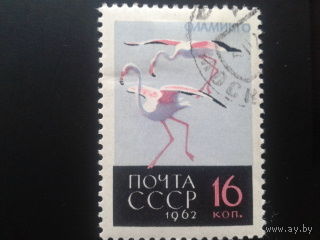 СССР 1962 фламинго