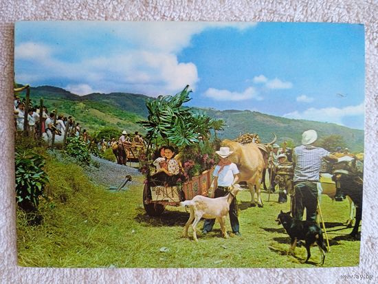 Коста-Рика, Эскасу. Типичный вид