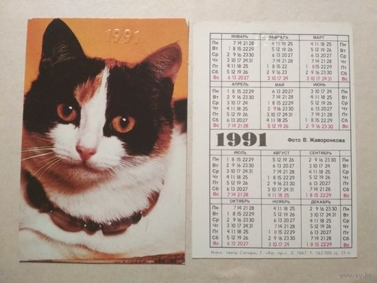 Карманный календарик. Котик. 1991 год