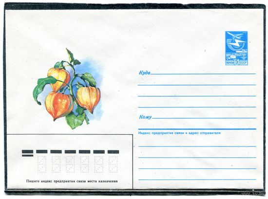 СССР 1986. ХМК. Конверт. Цветы. Физалис