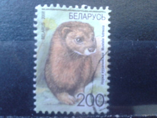 2008 Норка
