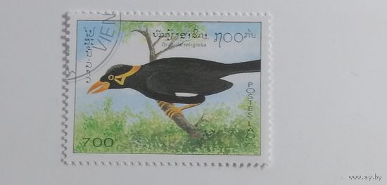 Лаос 1995. Птицы