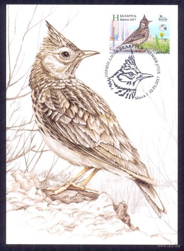 Беларусь 2017 Картмаксимум фауна птица