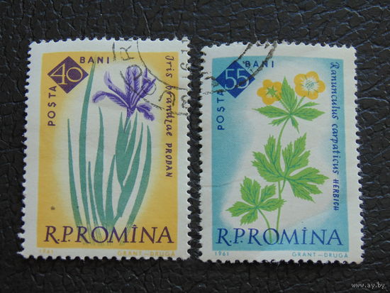 Румыния 1961 г . Флора.