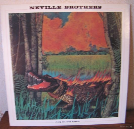 NEVILLE BROTHERS -LP- FIYO ON THE BAYOU - USA (FUNK, SOUL) из коллекции в коллекцию