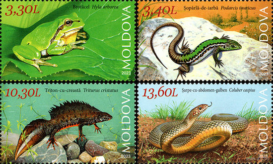 Молдова 2023. Фауна. Рептилии. Лягушка. Ящерица. Змея 4 марки (857)