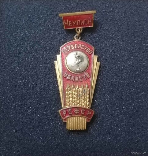 Знак "Первенство области РСФСР." Плавание. Чемпион.