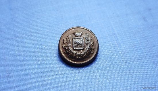 Пуговица чиновника Гродненской губернии с остатками позолоты. РИ. Малая.