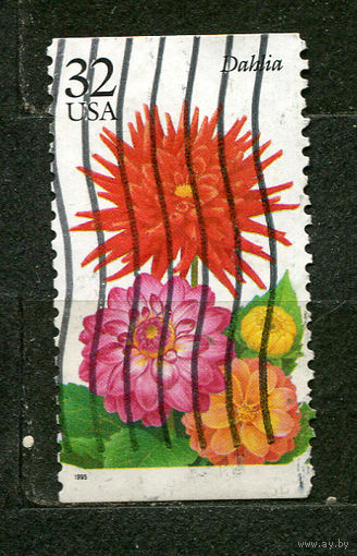 Цветы, георгины. США. 1995