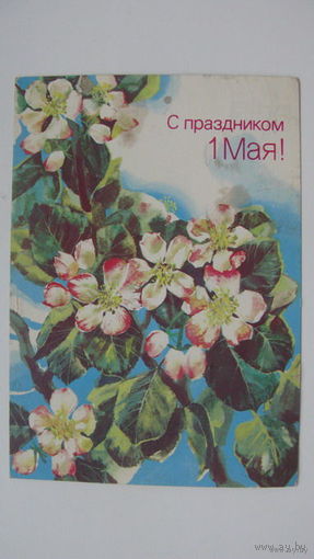 1 Мая 1988 г.