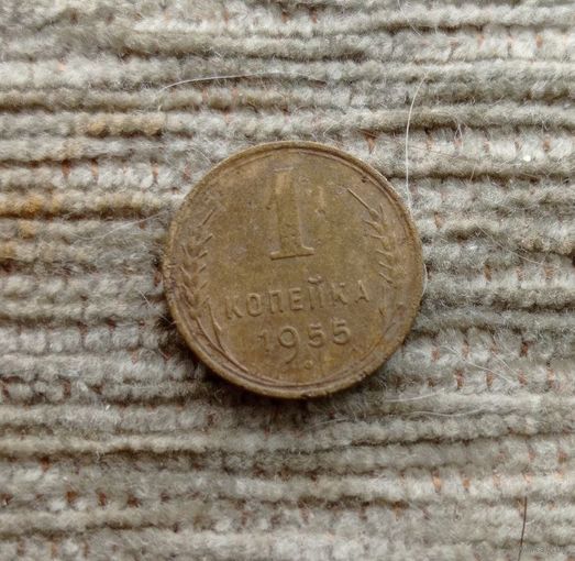 Werty71 СССР 1 копейка 1955