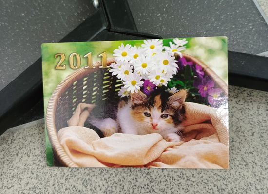 Календарик карманный 2011 котенок с ромашками