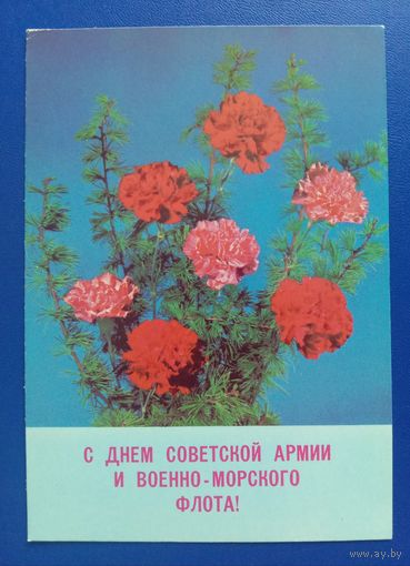 Открытка 1989 С Днём Советской армии Фото Круцко