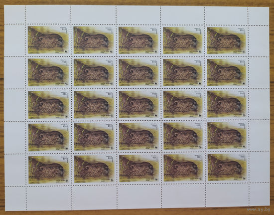Беларусь - 1995г. - бобры, 800 руб - 1 лист - MNH [Mi 99]. Без МЦ!