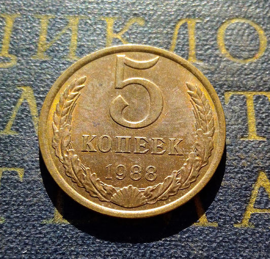 5 копеек 1988 СССР #18