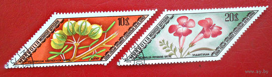 Монголия, 1975 год, цветы
