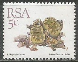 ЮАР. Литопс(живой камень). 1988г. Mi#745.