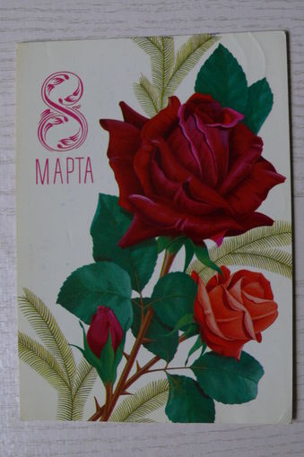 Лисецкий В., 8 Марта; 1980, подписана.