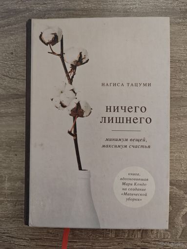 Ничего лишнего