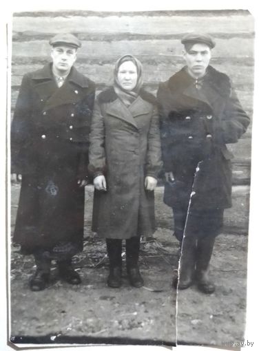 Фото в коллекцию